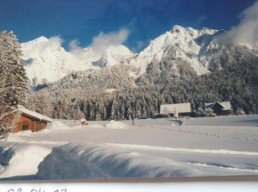 Haus Elsa, Ramsau Am Dachstein, Österreich, Ramsau Am Dachstein, Österreich